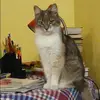 Отзыв от Евгения Постникова